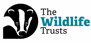 the wildlife trusts logo