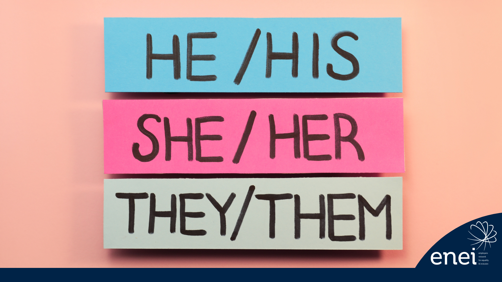 Three colorful cards with pronouns: HE/HIS, SHE/HER, and THEY/THEM, on a pink background.